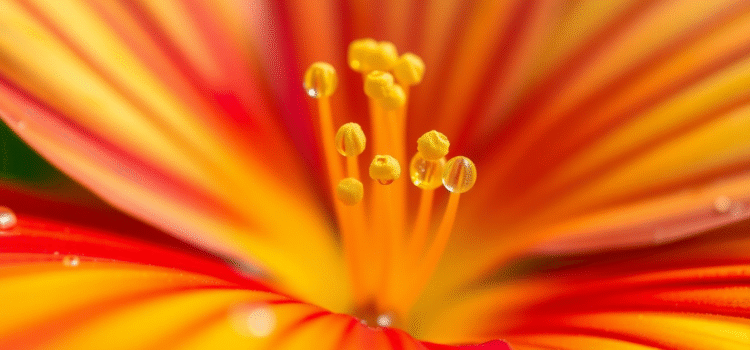 Google Pixel 10 Macro Photography Upgrade Promises 50% Better Resolution and New AI Features